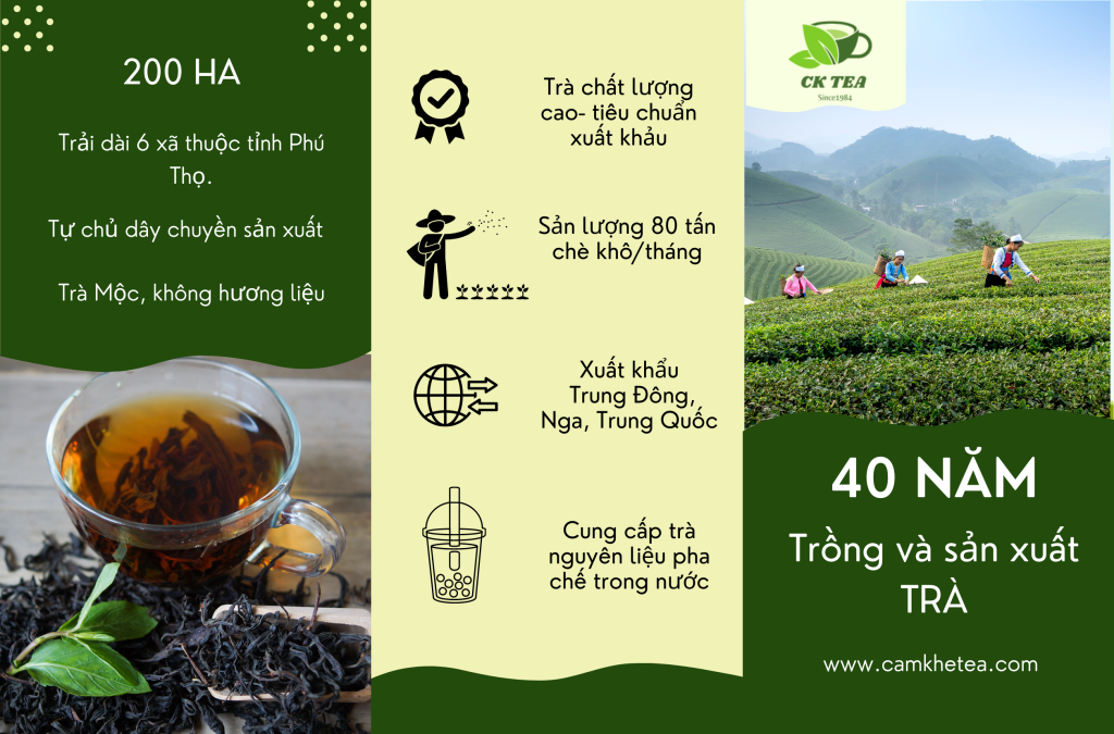 Ck Tea Giới thiệu- Công ty TNHH Chè Cẩm Khê (CK Tea) - Cẩm Khê Tea