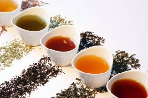 Nguồn gốc cây chè Camellia sinensis và hành trình đến thế giới hiện đại