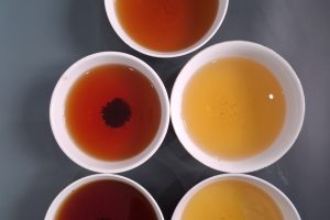 Phân biệt các loại trà Camellia Sinensis: Trà trắng, trà xanh, trà đen